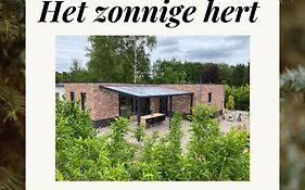Het Zonnige Hert